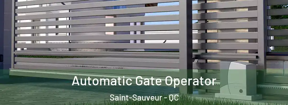  Automatic Gate Operator Saint-Sauveur - QC