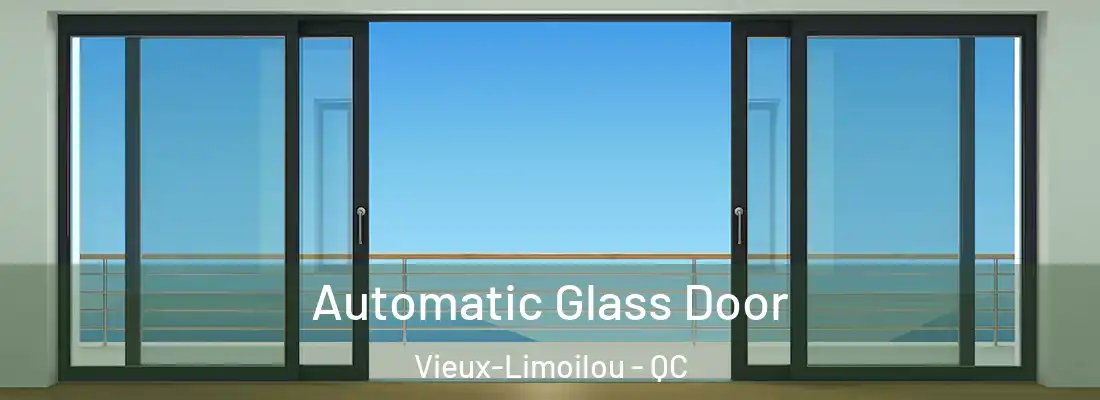  Automatic Glass Door Vieux-Limoilou - QC