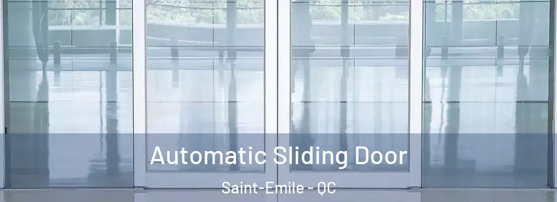  Automatic Sliding Door Saint-Emile - QC