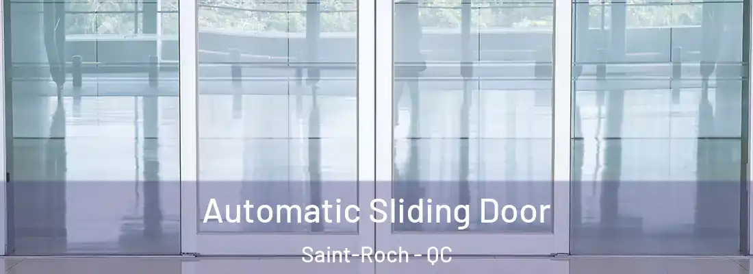  Automatic Sliding Door Saint-Roch - QC