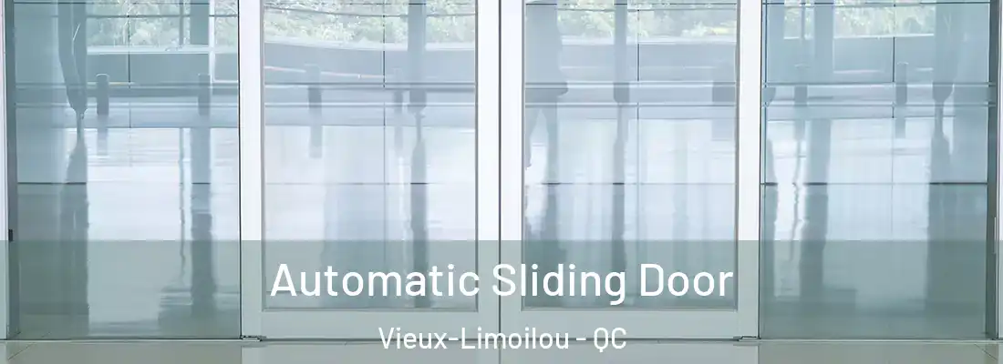  Automatic Sliding Door Vieux-Limoilou - QC
