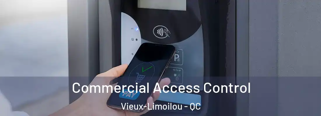  Commercial Access Control Vieux-Limoilou - QC