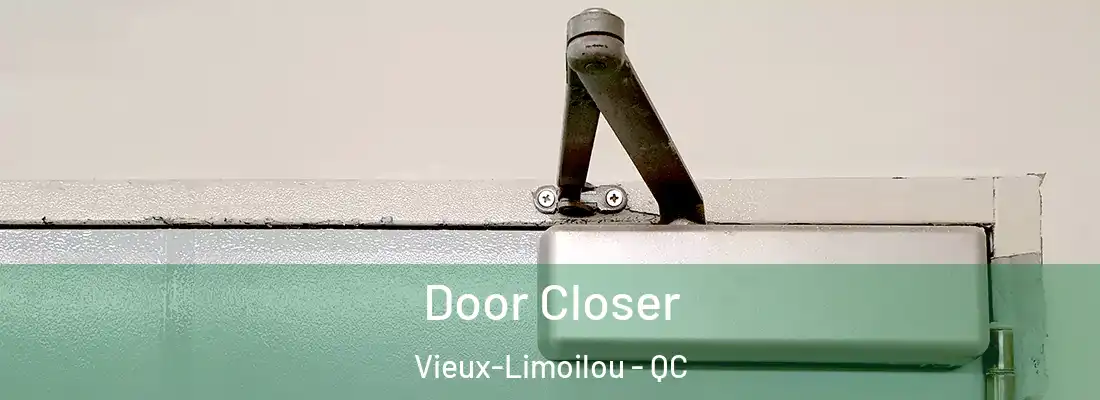  Door Closer Vieux-Limoilou - QC
