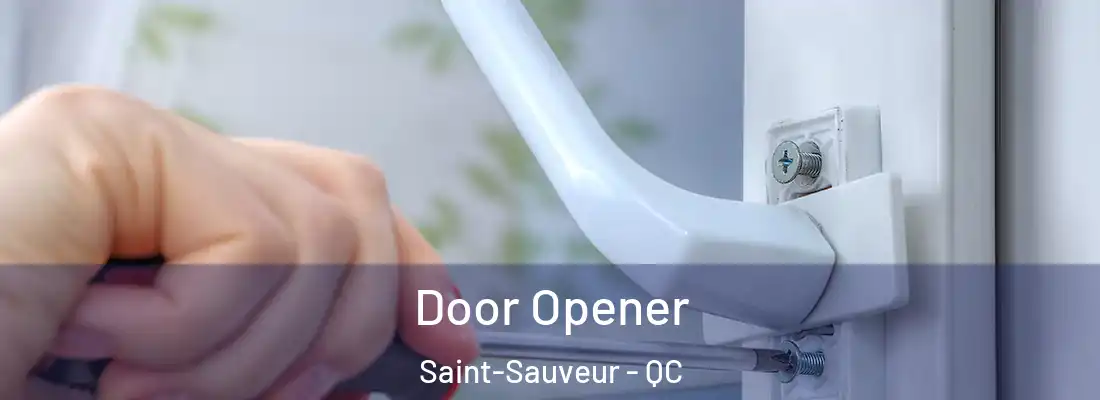  Door Opener Saint-Sauveur - QC