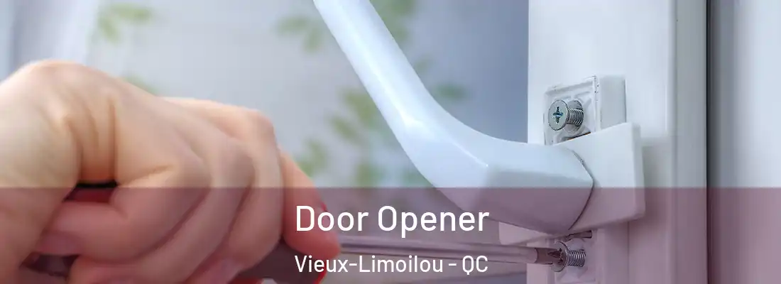  Door Opener Vieux-Limoilou - QC