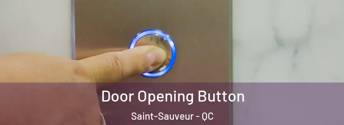  Door Opening Button Saint-Sauveur - QC