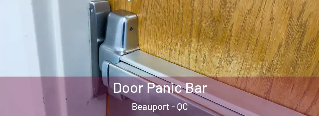  Door Panic Bar Beauport - QC