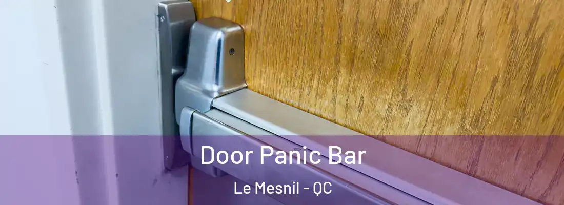  Door Panic Bar Le Mesnil - QC