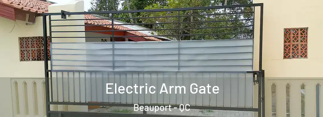  Electric Arm Gate Beauport - QC