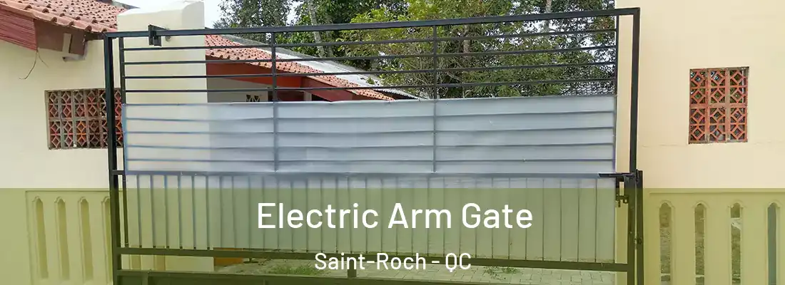  Electric Arm Gate Saint-Roch - QC
