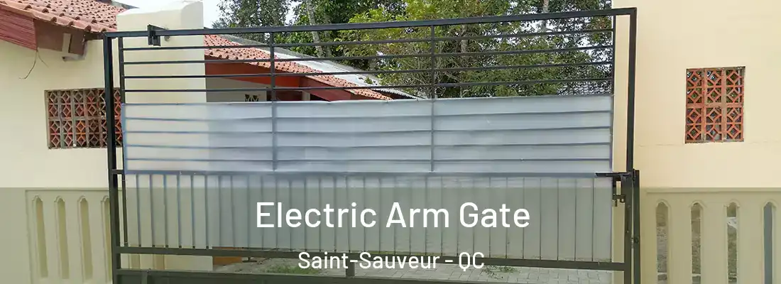  Electric Arm Gate Saint-Sauveur - QC