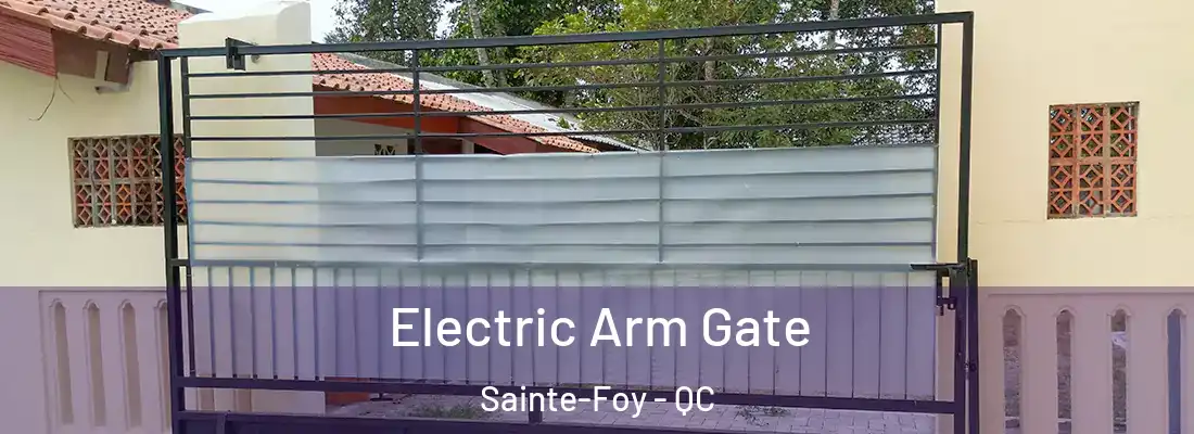  Electric Arm Gate Sainte-Foy - QC