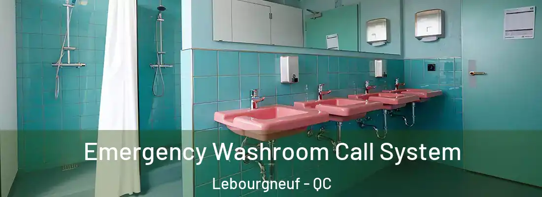  Emergency Washroom Call System Lebourgneuf - QC