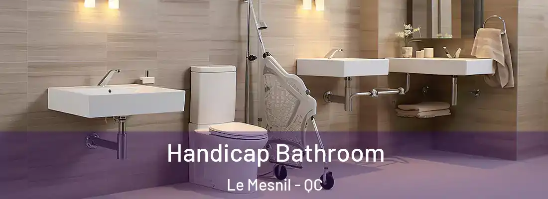  Handicap Bathroom Le Mesnil - QC
