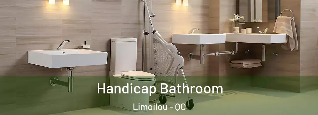  Handicap Bathroom Limoilou - QC