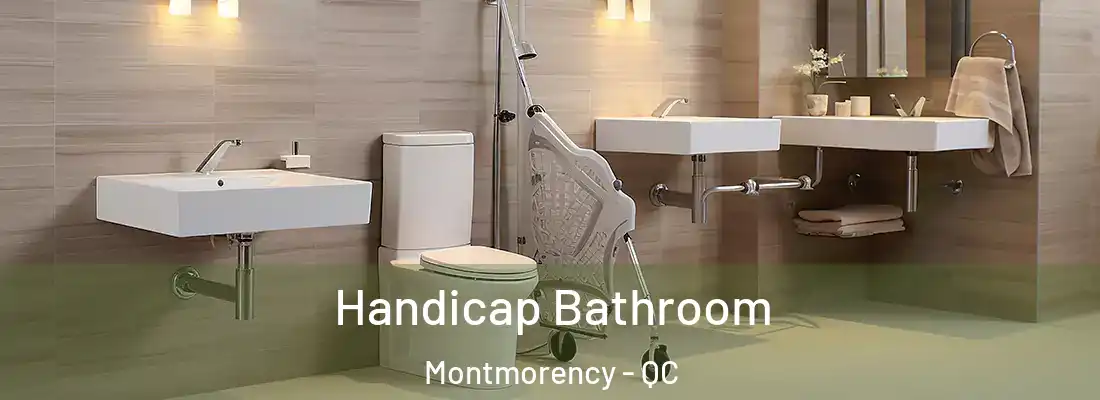  Handicap Bathroom Montmorency - QC