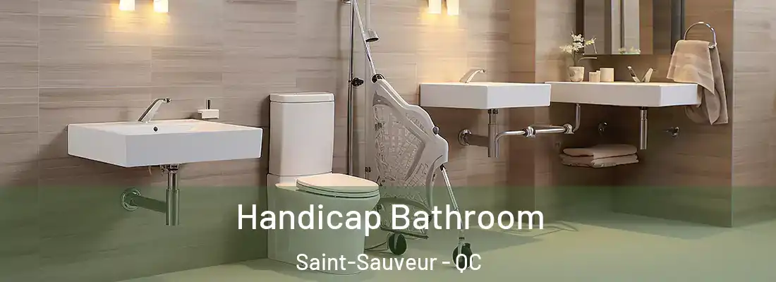 Handicap Bathroom Saint-Sauveur - QC