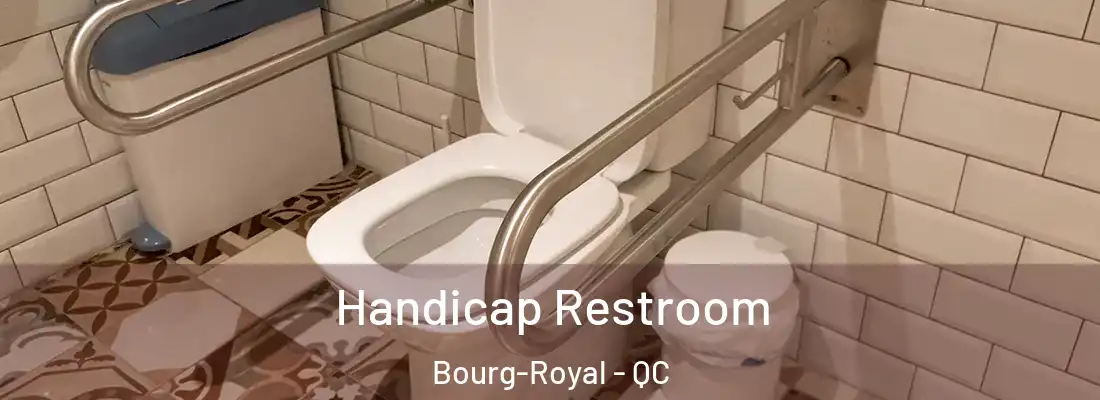  Handicap Restroom Bourg-Royal - QC