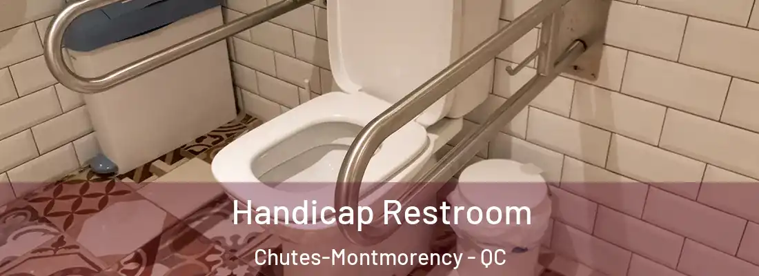  Handicap Restroom Chutes-Montmorency - QC