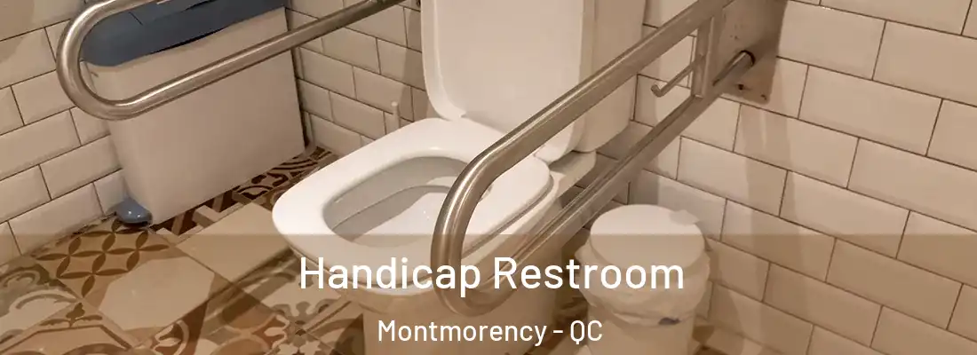  Handicap Restroom Montmorency - QC