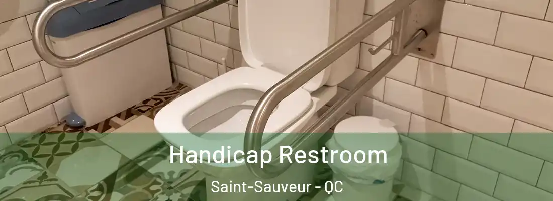  Handicap Restroom Saint-Sauveur - QC