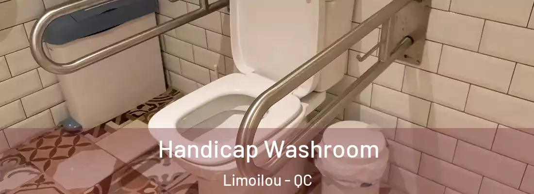  Handicap Washroom Limoilou - QC