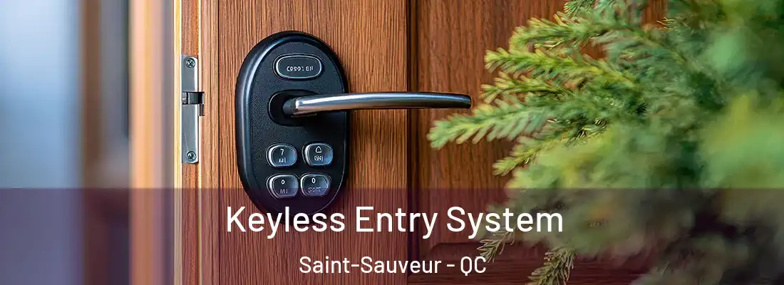  Keyless Entry System Saint-Sauveur - QC