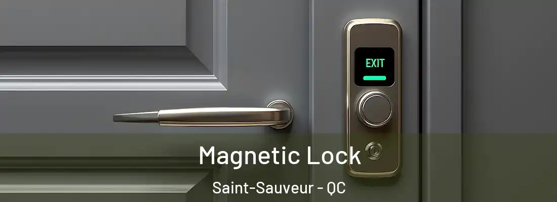  Magnetic Lock Saint-Sauveur - QC