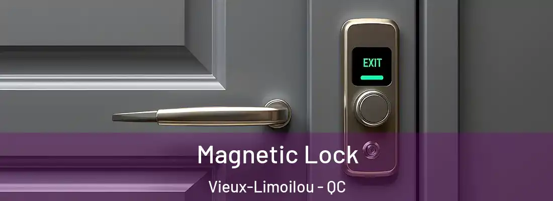  Magnetic Lock Vieux-Limoilou - QC