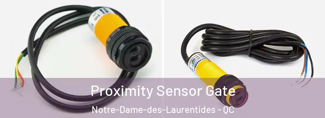  Proximity Sensor Gate Notre-Dame-des-Laurentides - QC