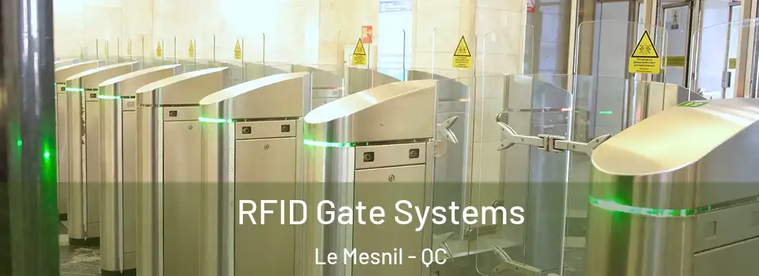  RFID Gate Systems Le Mesnil - QC