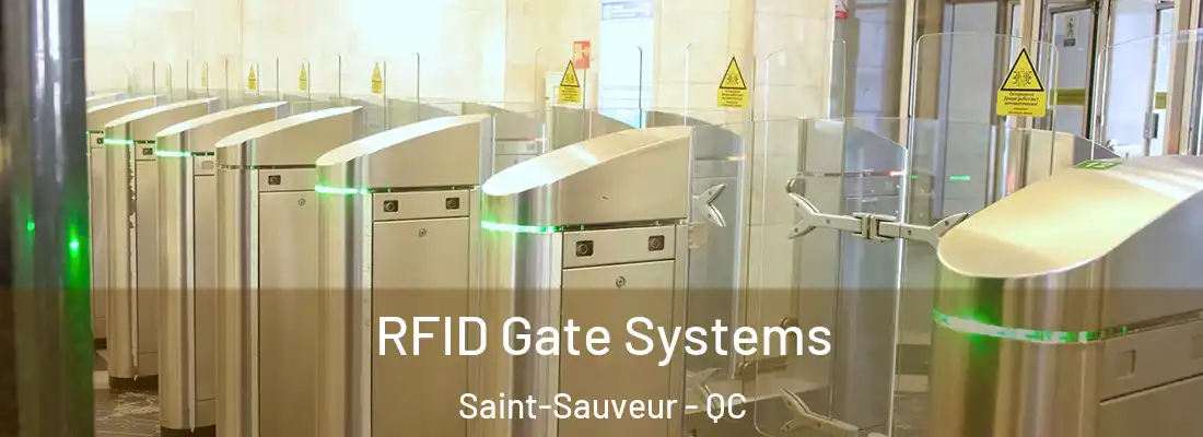  RFID Gate Systems Saint-Sauveur - QC