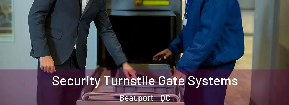 Security Turnstile Gate Systems Beauport - QC