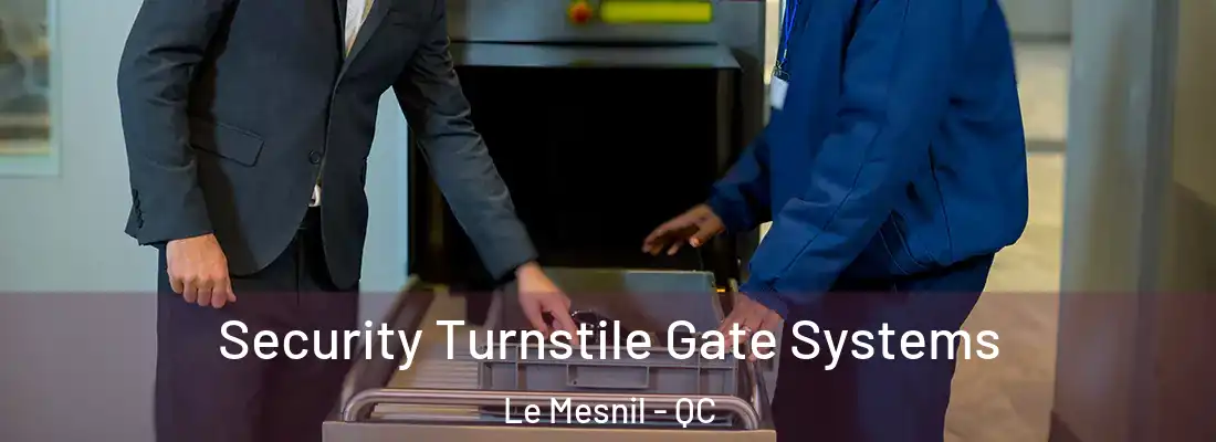  Security Turnstile Gate Systems Le Mesnil - QC