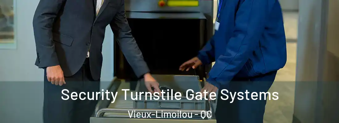  Security Turnstile Gate Systems Vieux-Limoilou - QC